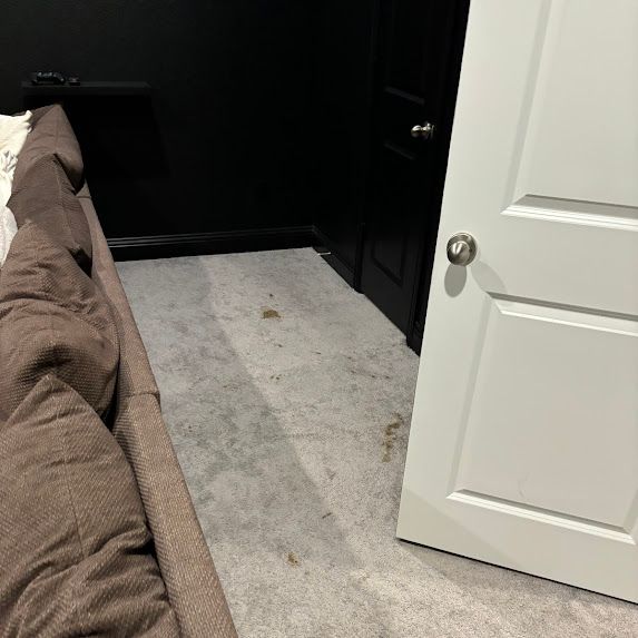 Thermal Clean Carpet Care before photo