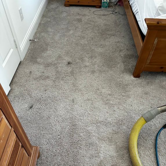 Thermal Clean Carpet Care before photo