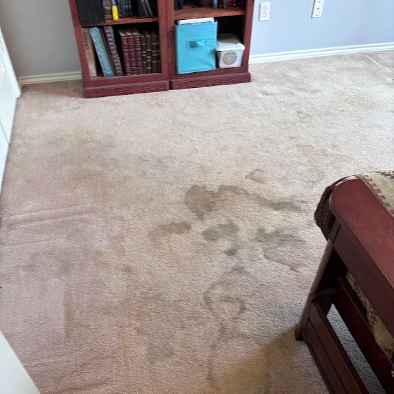 Thermal Clean Carpet Care before photo