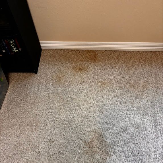 Thermal Clean Carpet Care before photo