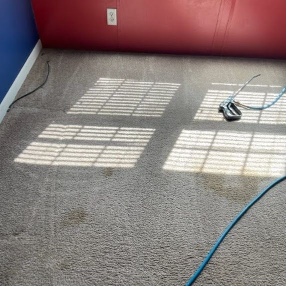 Thermal Clean Carpet Care before photo