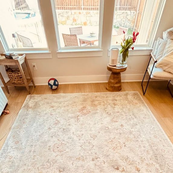 Thermal Clean Carpet Care before photo