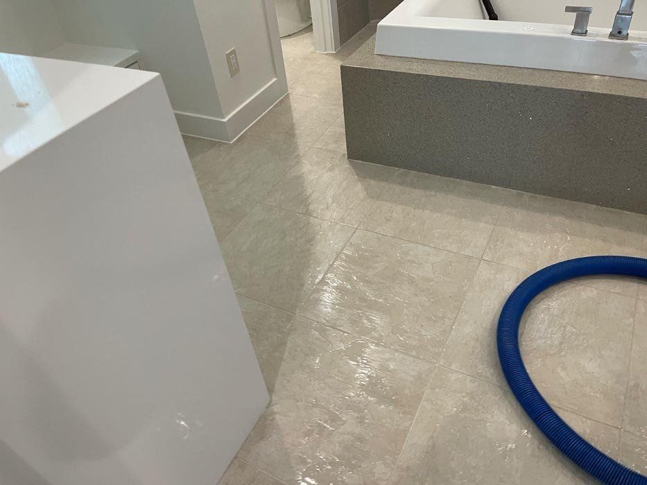 Thermal Clean Carpet Care photos