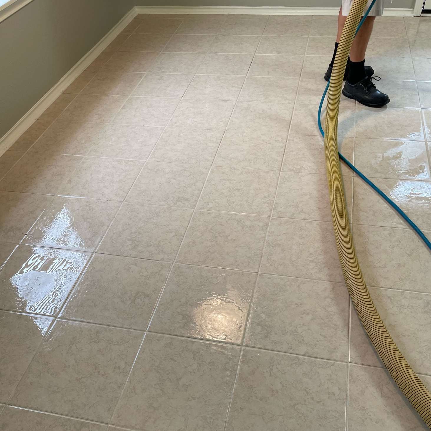 Thermal Clean Carpet Care photos