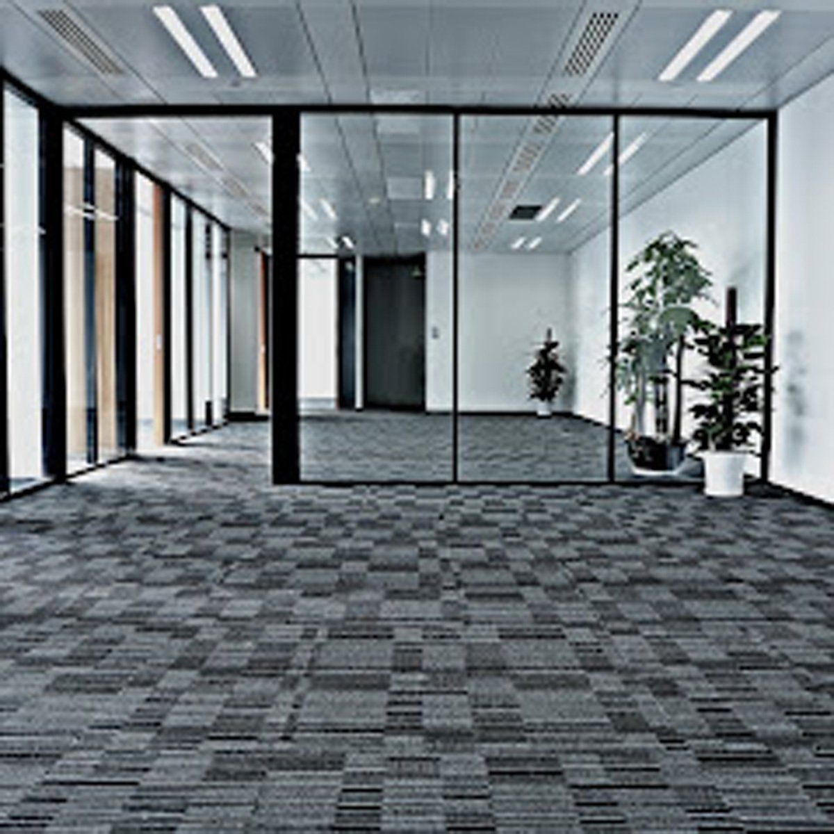 Thermal Clean Carpet Care photos