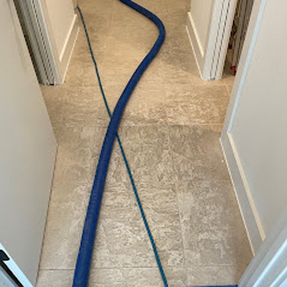 Thermal Clean Carpet Care photos