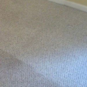 Thermal Clean Carpet Care after photo