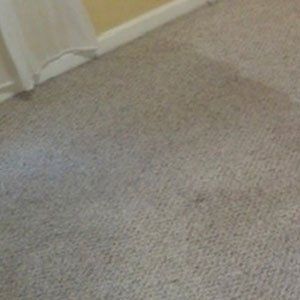 Thermal Clean Carpet Care before photo