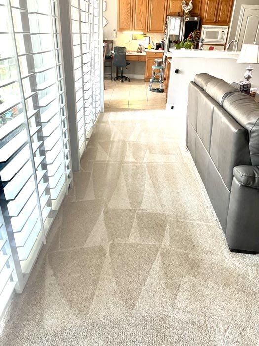 Thermal Clean Carpet Care after photo