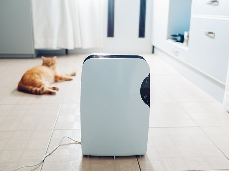 A cat is laying on the floor next to a dehumidifier.