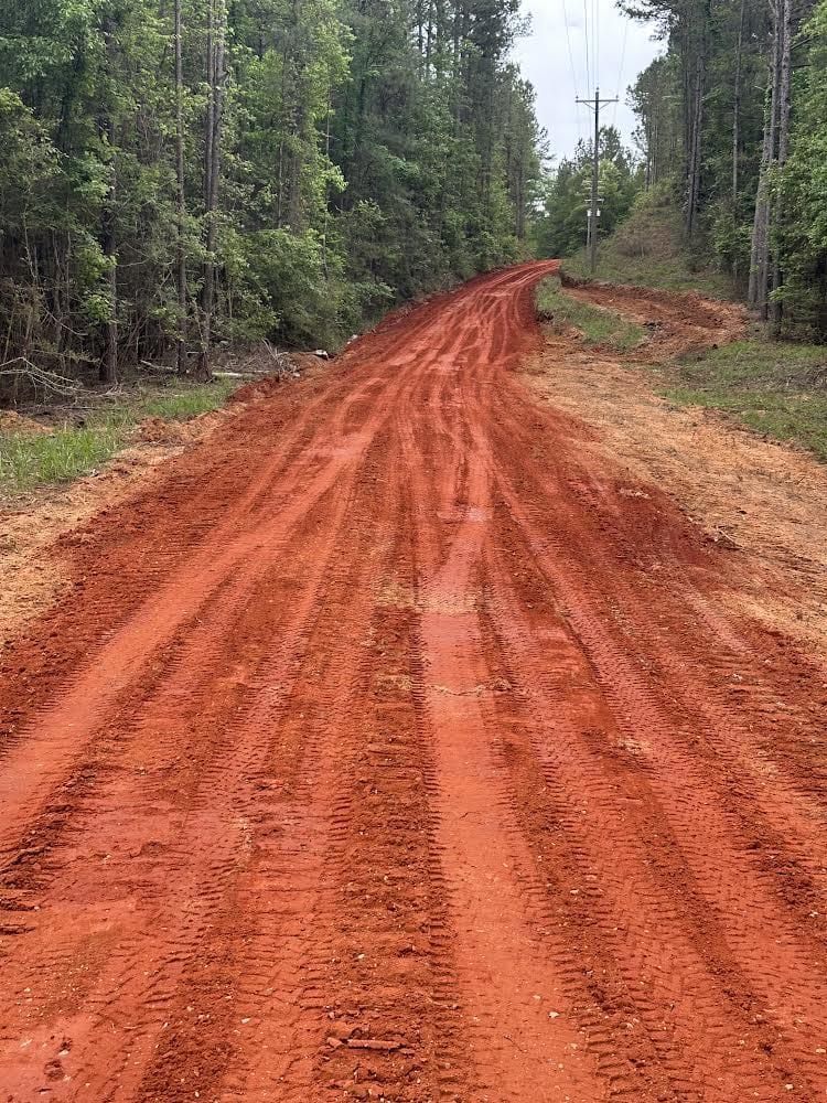 A dirt road going through a forest with trees on both sides.