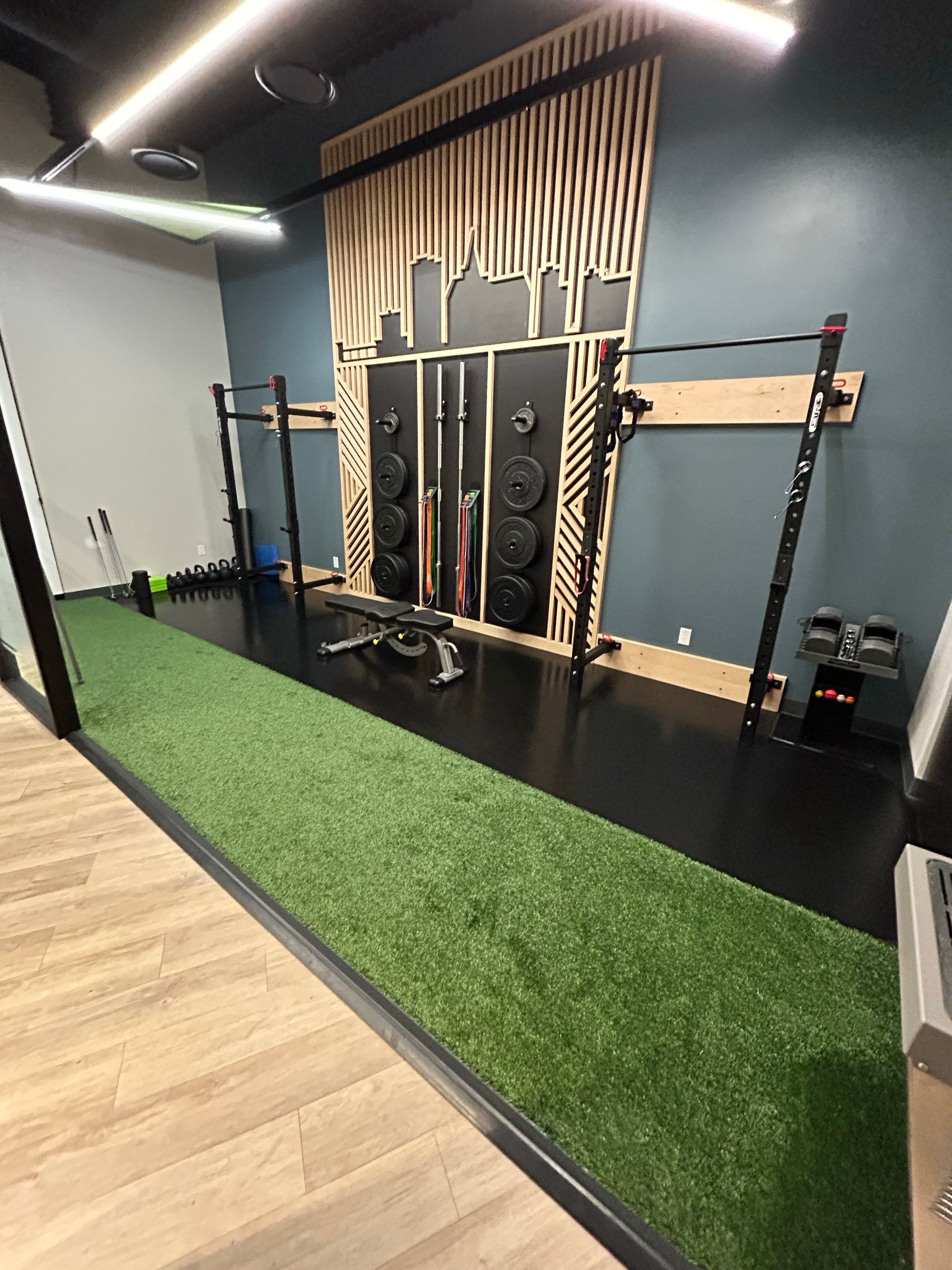 A gym with a lot of equipment and a green carpet.