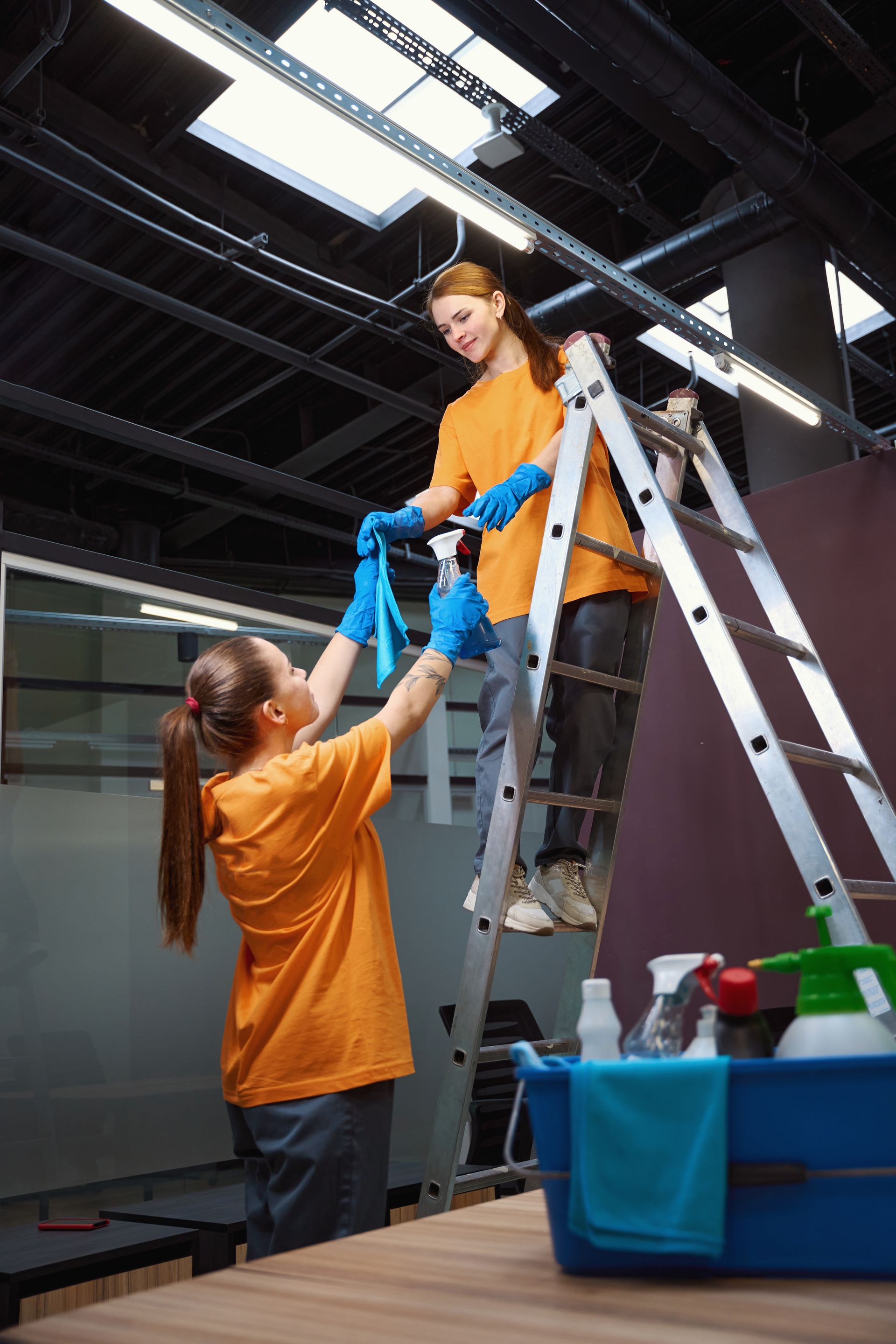 Two women are cleaning a building with a ladder.