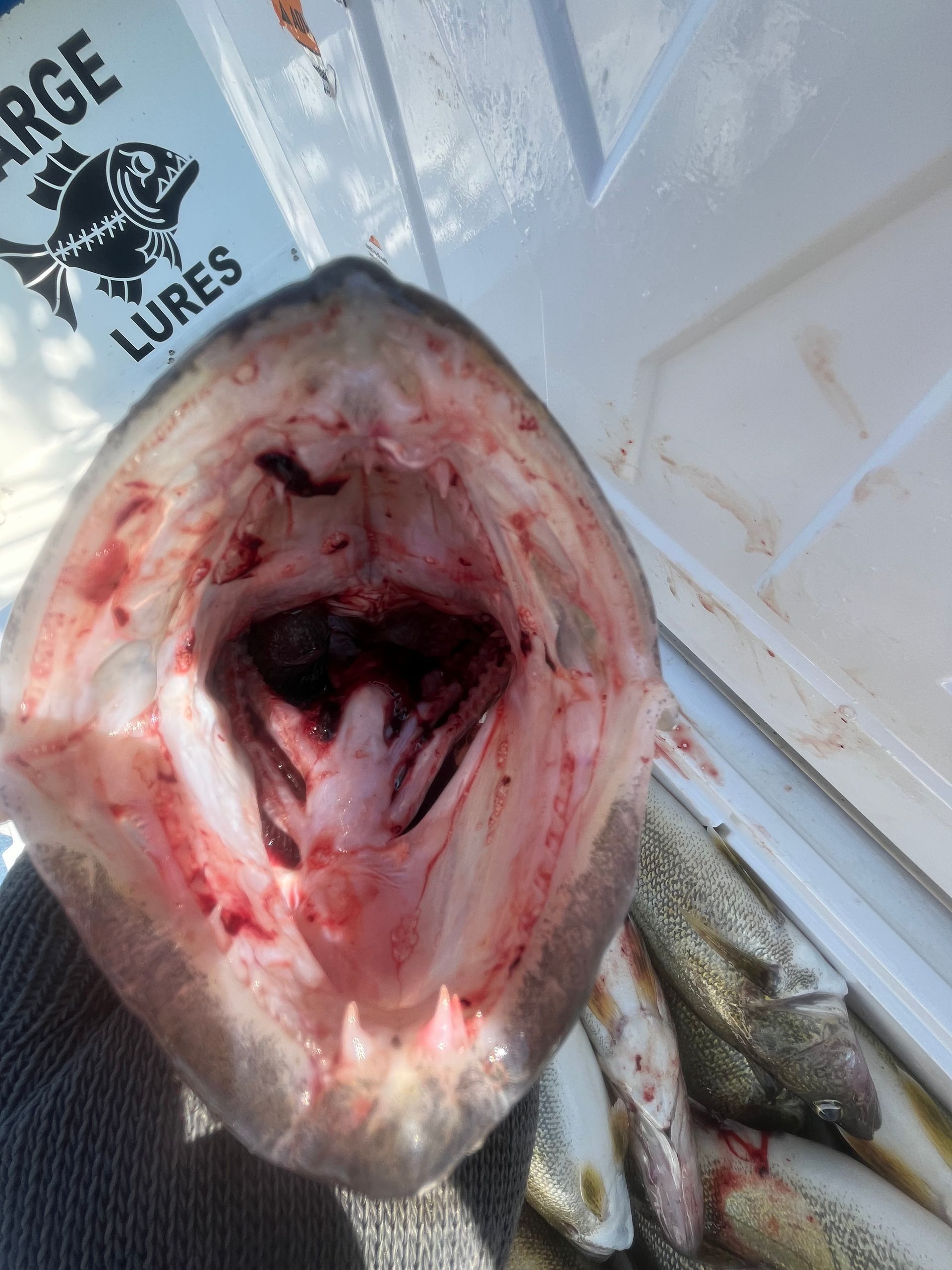 fishing lures we use on Lake Erie