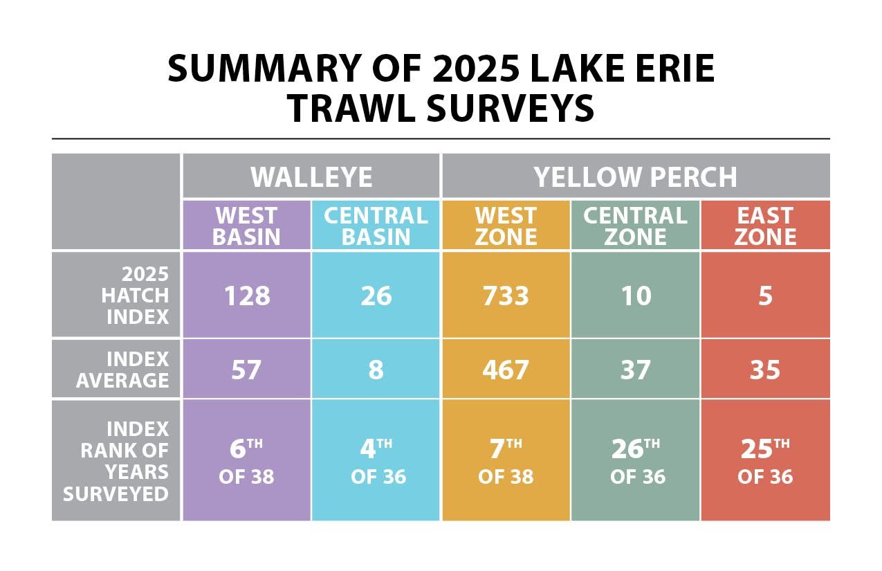  Chart of the Summary of the 2025 Lake Erie Trawl surveys
