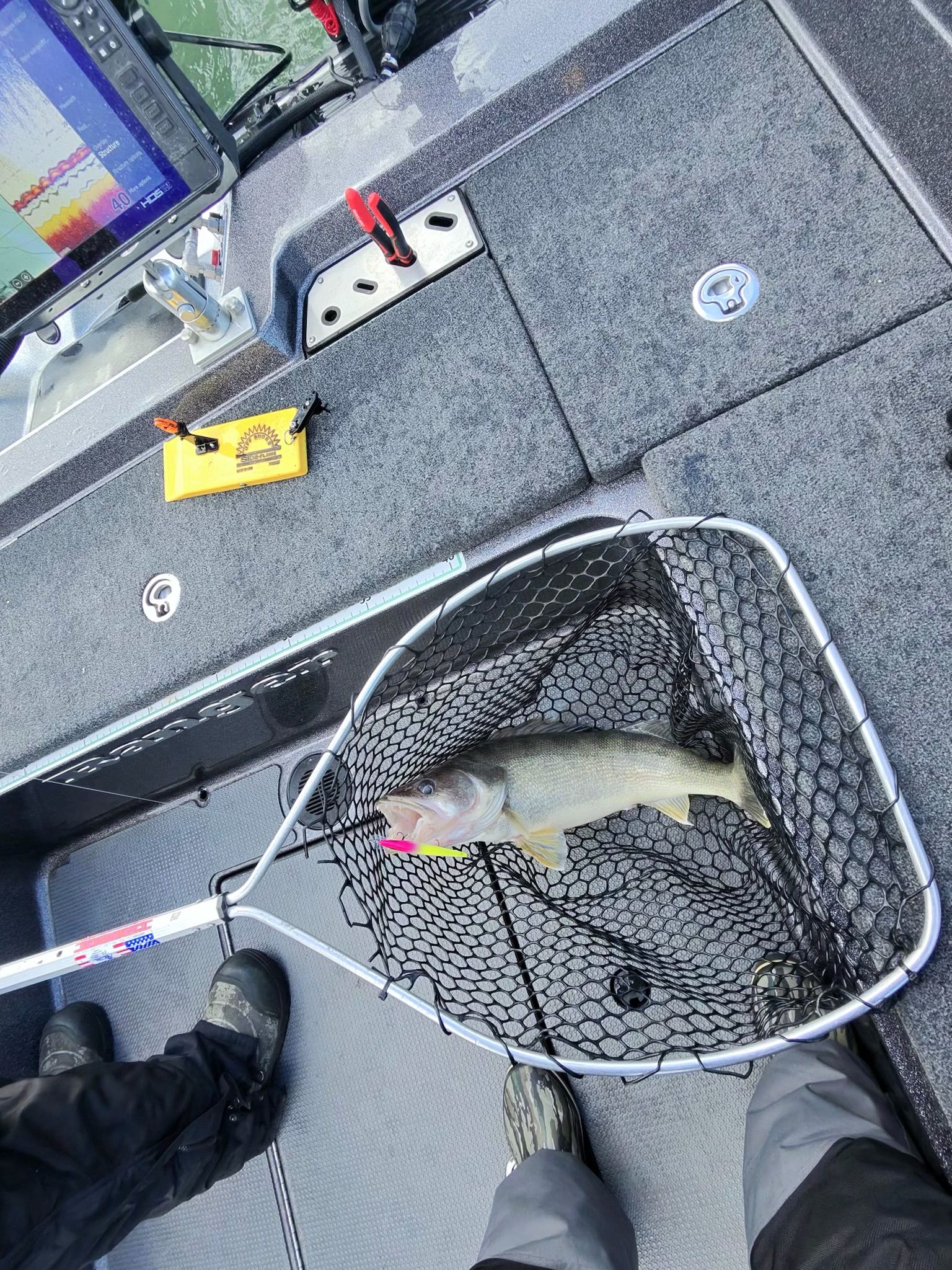 A trophy Fish Ohio Walleye in the net caught Lake Erie Fishing 