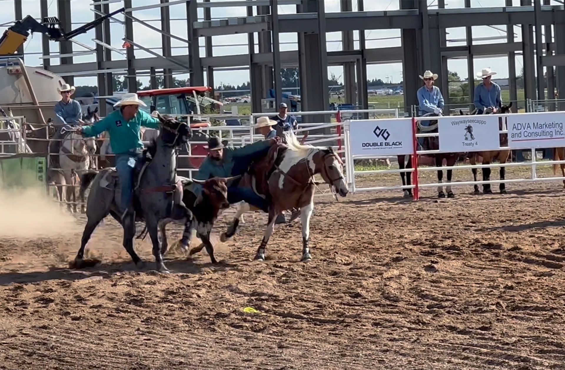 Cow roping event at the Waywayseecappo Rodeo in Brandon, Manitoba in 2023.