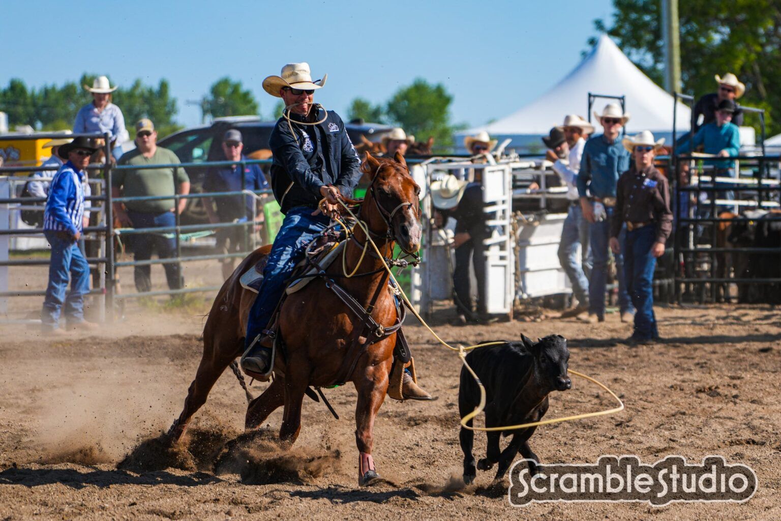 Rodeo cowboy attempts to rope a calf.