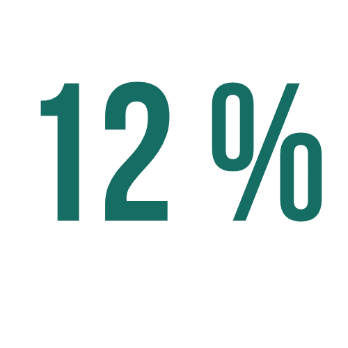 A green 12 percent sign on a white background.