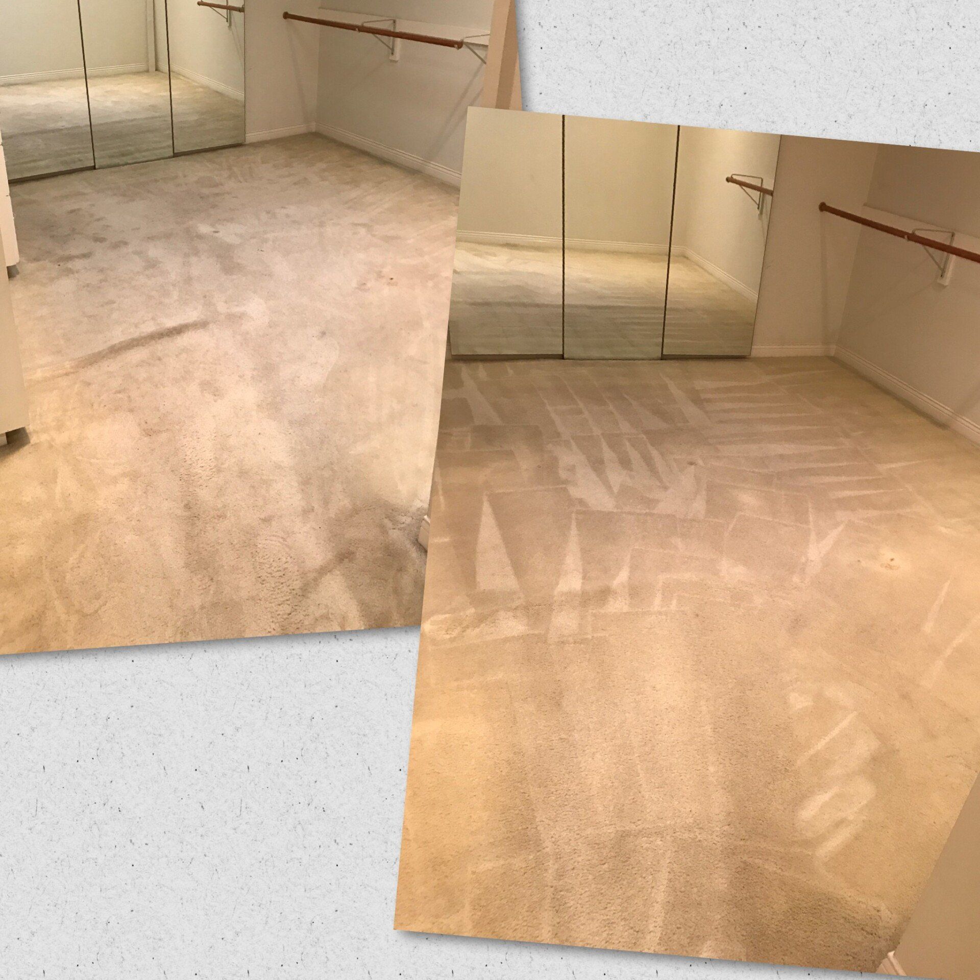 Small commercial Room With Carpet — North Hollywood, CA — So White Carpet Cleaning LLC