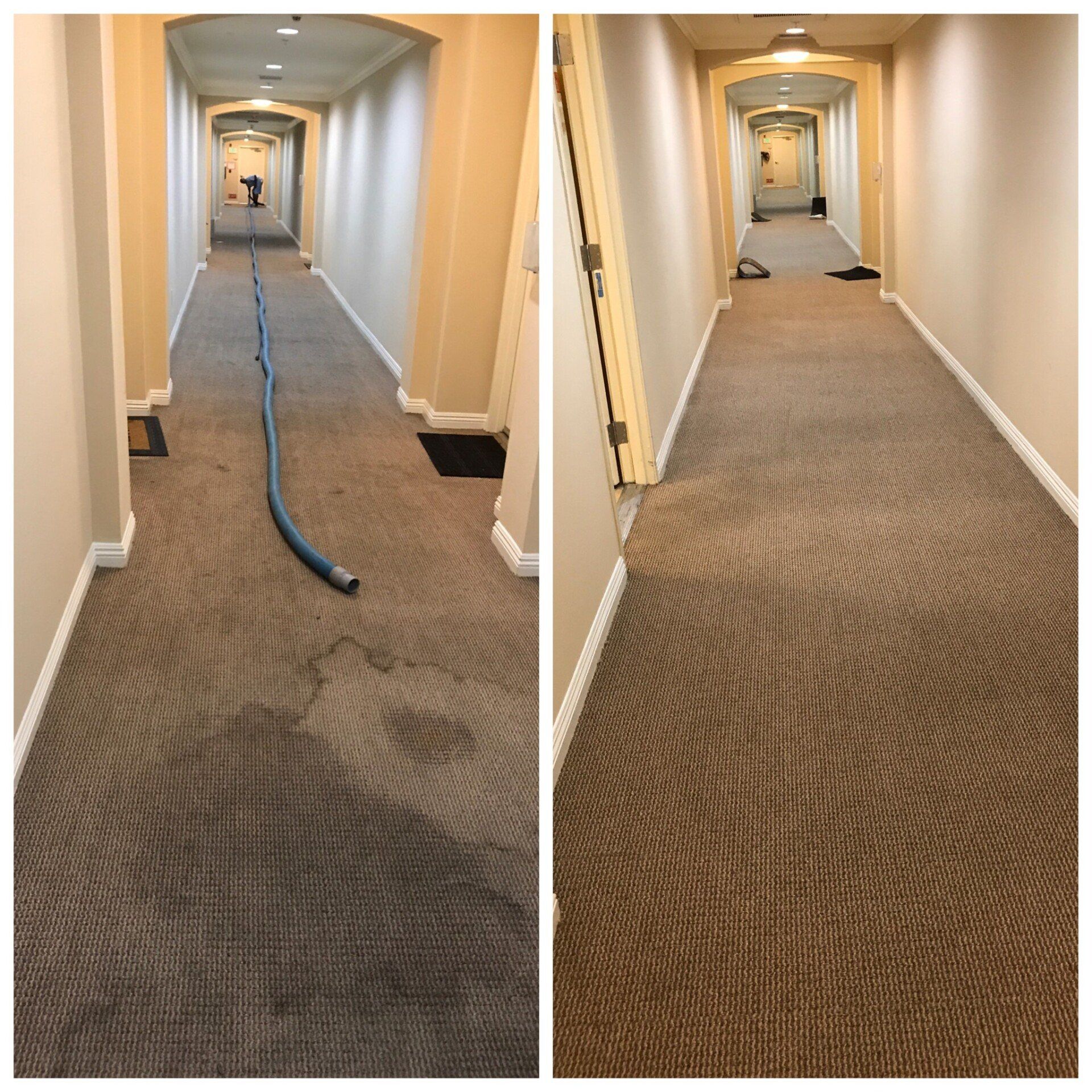 Hallway With Carpet Before And After — North Hollywood, CA — So White Carpet Cleaning LLC
