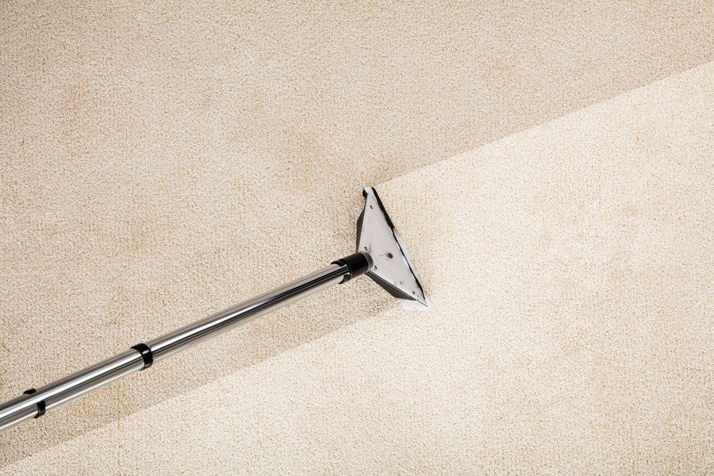Vacuum Cleaner With Carpet — North Hollywood, CA — So White Carpet Cleaning LLC