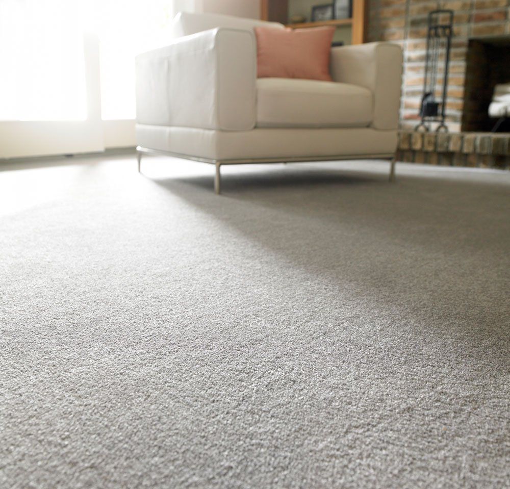 Living Room With Carpet — North Hollywood, CA — So White Carpet Cleaning LLC