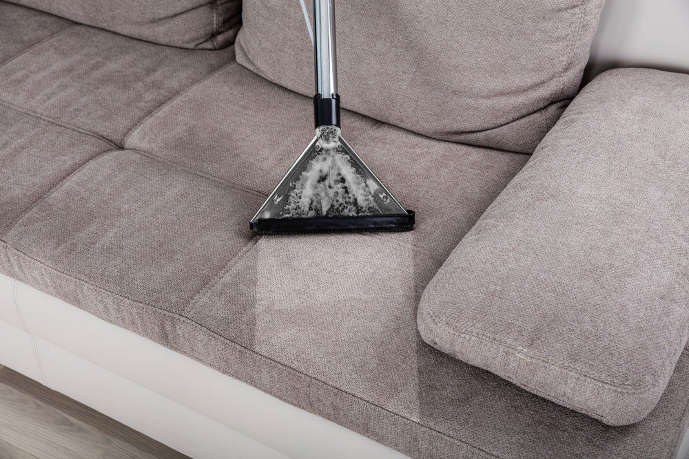 Woman Cleaning Sofa With Vacuum Cleaner — North Hollywood, CA — So White Carpet Cleaning LLC