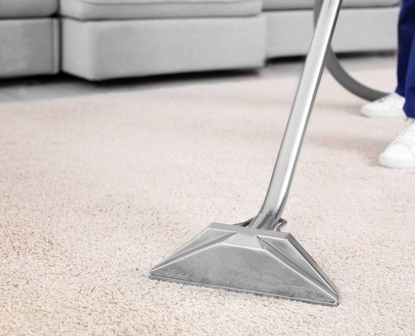 Having Fun Lying On Carpet — North Hollywood, CA — So White Carpet Cleaning LLC