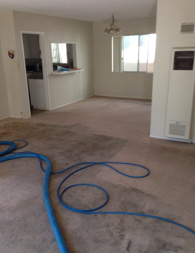 We professionally clean all types of area rugs—removing deep dirt, stains, and odors while preserving the rug’s beauty and quality. Safe for delicate fibers, kids, and pets.
including: Persian Rugs
Oriental Rugs
Wool Rugs
Some Silk Rugs
Synthetic Rugs (e.g. Nylon, Polyester, Olefin)
Shag Rugs
Cotton Rugs and more