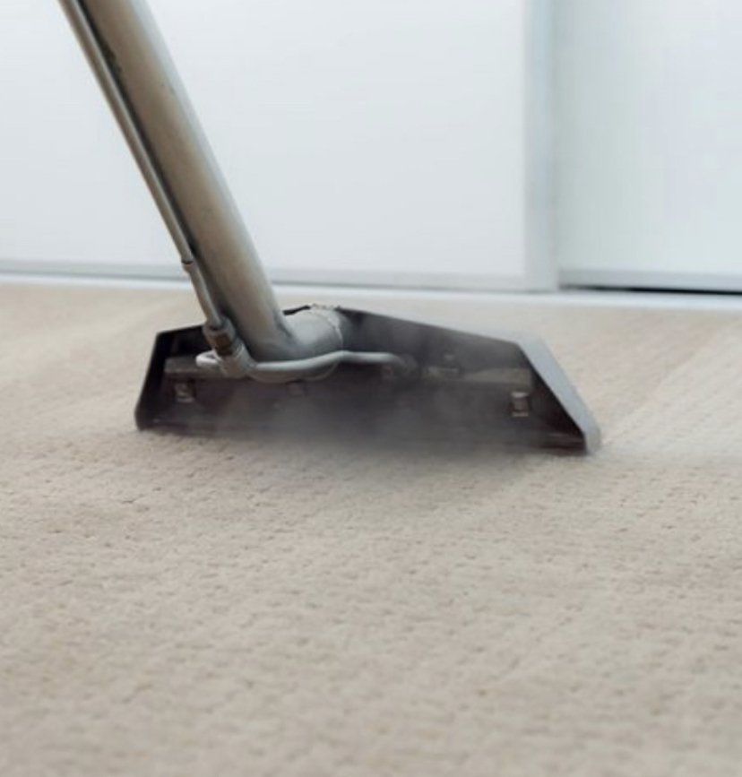 Carpet Cleaning North Hollywood, CA So White Carpet Cleaning LLC