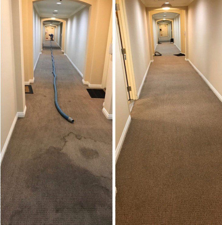 So White Carpet Cleaning LLC Van — North Hollywood, CA — So White Carpet Cleaning LLC So White Carpet Cleaning LLC Van — North Hollywood, CA — So White Carpet Cleaning LLC
