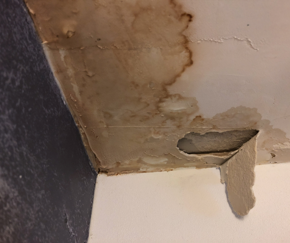 Water damage on a ceiling corner, with brown stains and peeling paint.