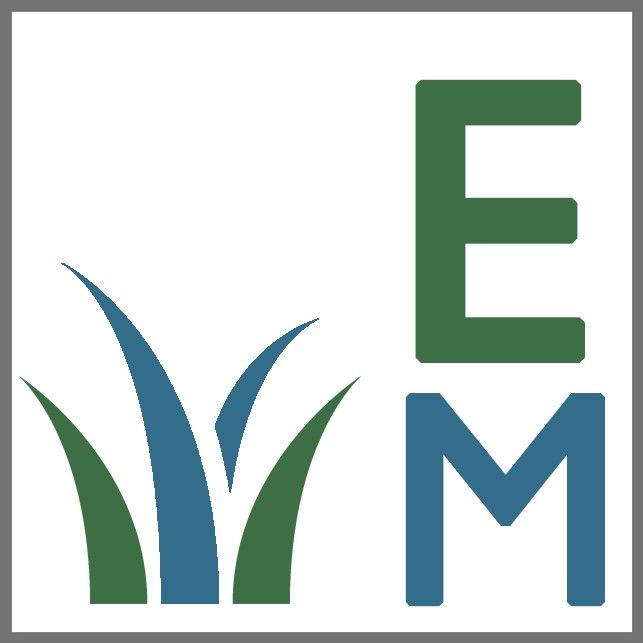a green and blue logo for EM