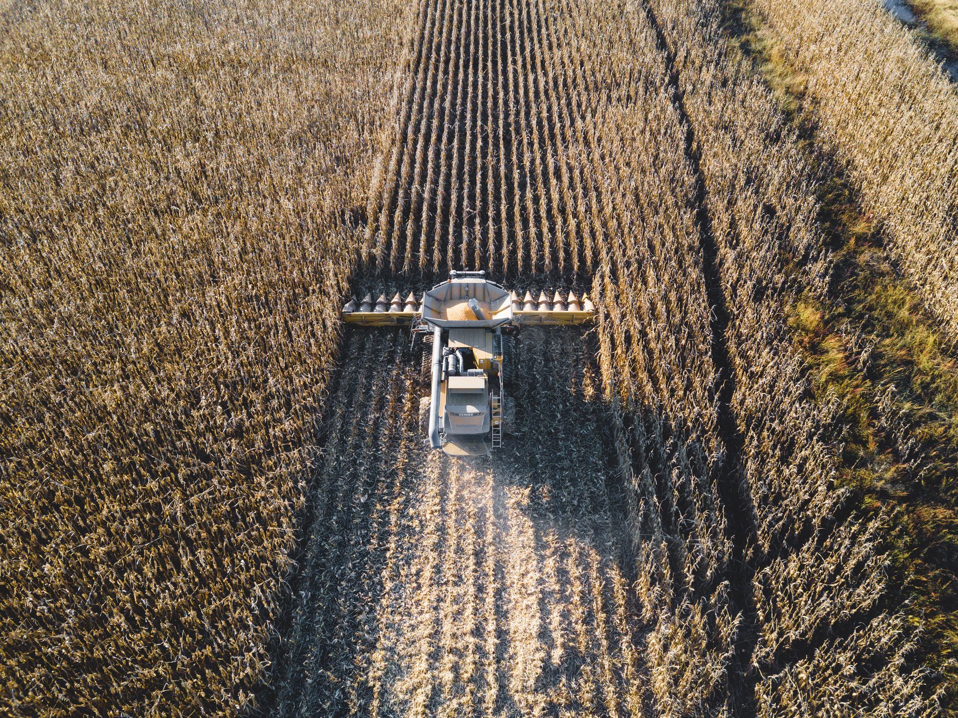 Drone photograph of wheat fields being harvested taken by KMG.