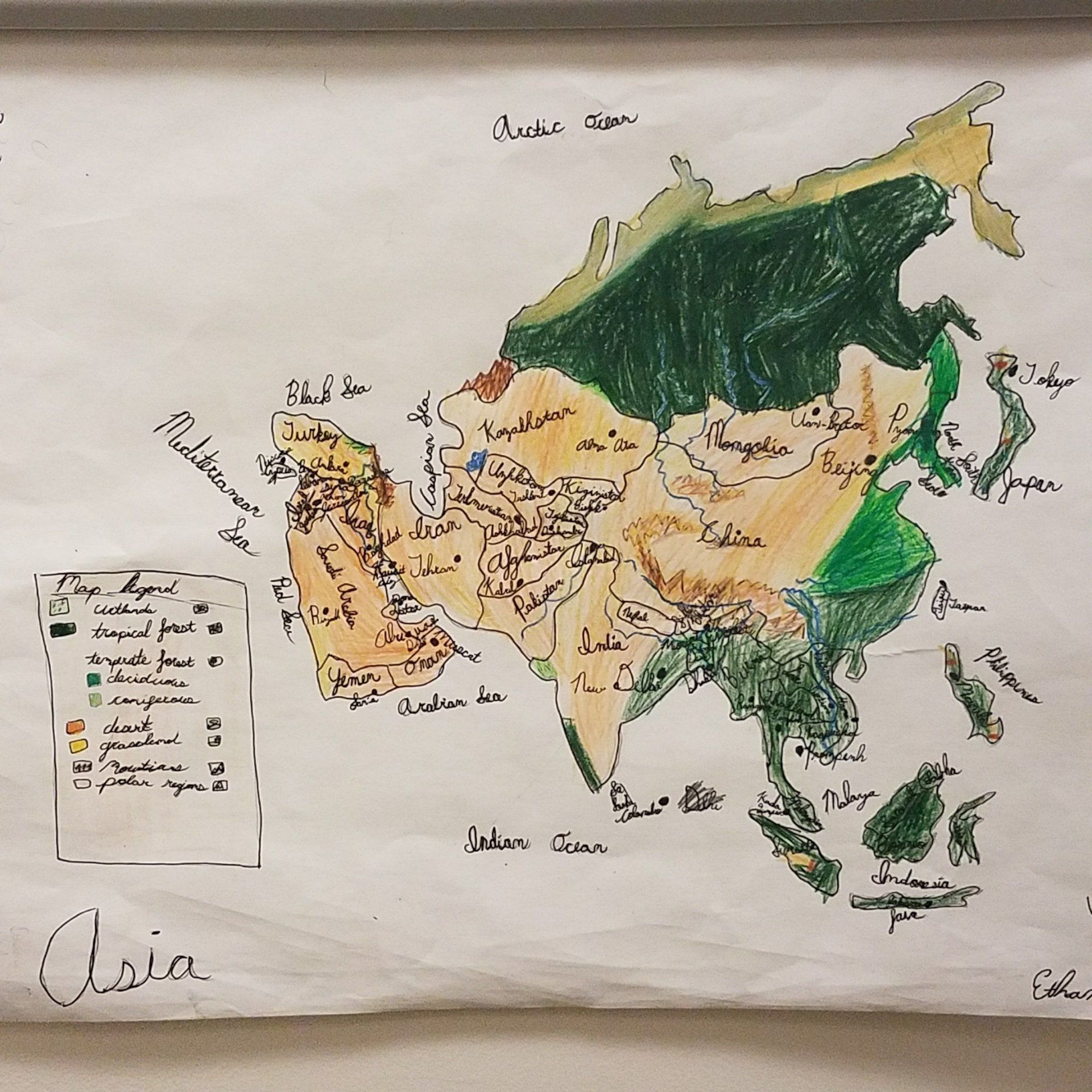 A map of asia with the word asia written on the bottom