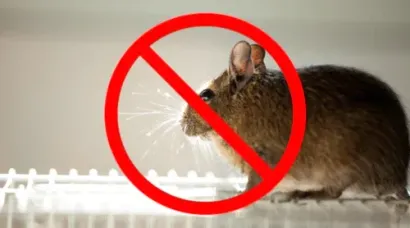 A rodent sitting on a wire rack behind a large, red "no" symbol, signifying pest control.