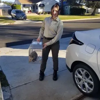 A person in a tan uniform holds a metal animal cage with a possum inside, standing in a residential driveway.