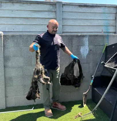 A person wearing blue gloves stands against a concrete wall holding a large, matted clump of debris and a waste bag.