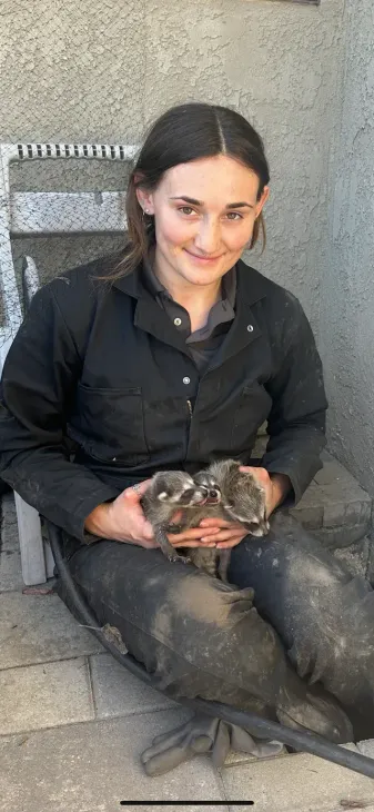 A person in work clothes sitting on a concrete floor, holding three small, grey, furry animals in their cupped hands.