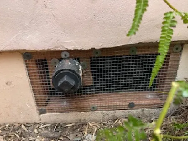 A crawlspace vent covered with wire mesh, featuring a black circular pipe cap protruding through the screen.