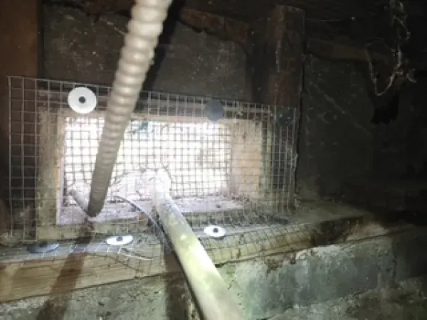 A crawl space vent covered with wire mesh, secured with washers, and penetrated by electrical and plumbing lines.