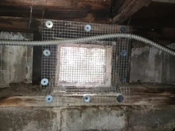 A crawl space vent covered with wire mesh screen and secured to the wooden frame and concrete wall with screws and washers.