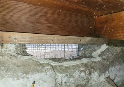 A wire mesh screen covers a gap in a concrete foundation wall beneath wooden floor joists.
