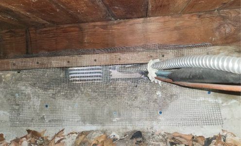 A wire mesh screen covers a crawl space foundation vent and utility pipe penetration against a wooden floor joist.