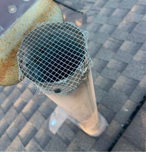 A roof vent pipe covered with a wire mesh screen, viewed from above against a background of gray shingles.