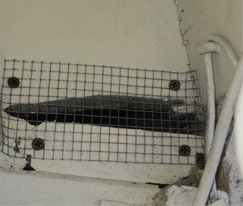 A piece of metal hardware cloth is screwed over a dark gap in a light-colored wall near some white electrical cables.