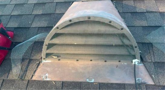 A metal roof vent with a mesh screen covering, installed on a shingled roof.