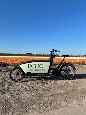Echo Fysiotherapie op locatie, aan huis, op werk. 