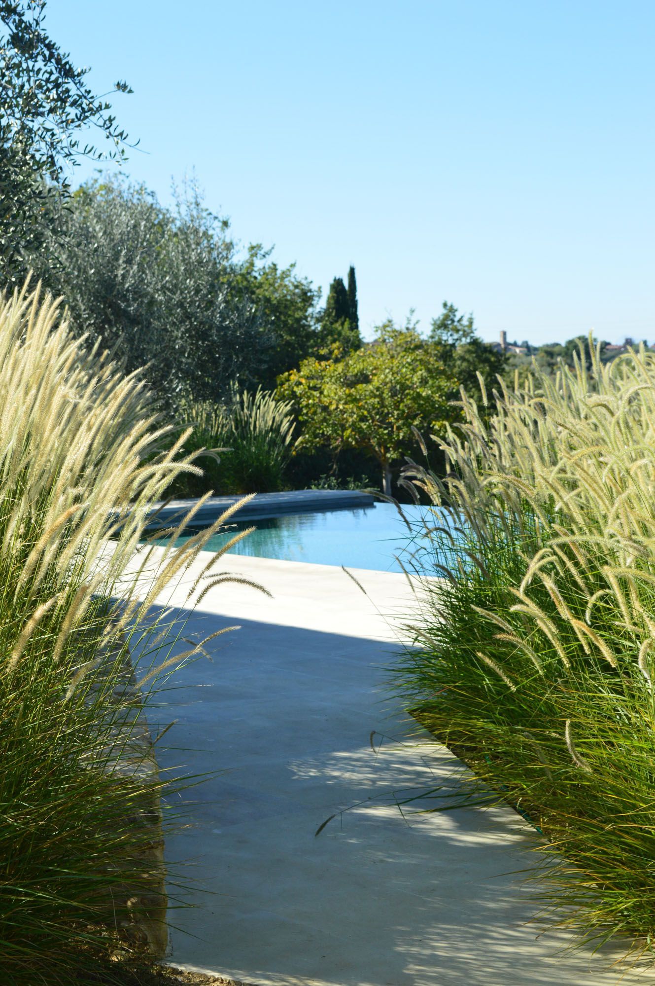 Un sentiero costeggiato da erba alta conduce a una piscina, con alberi sullo sfondo e un cielo azzurro e terso.